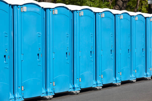 Types of Portable Toilets We Offer in Kingsley, IA